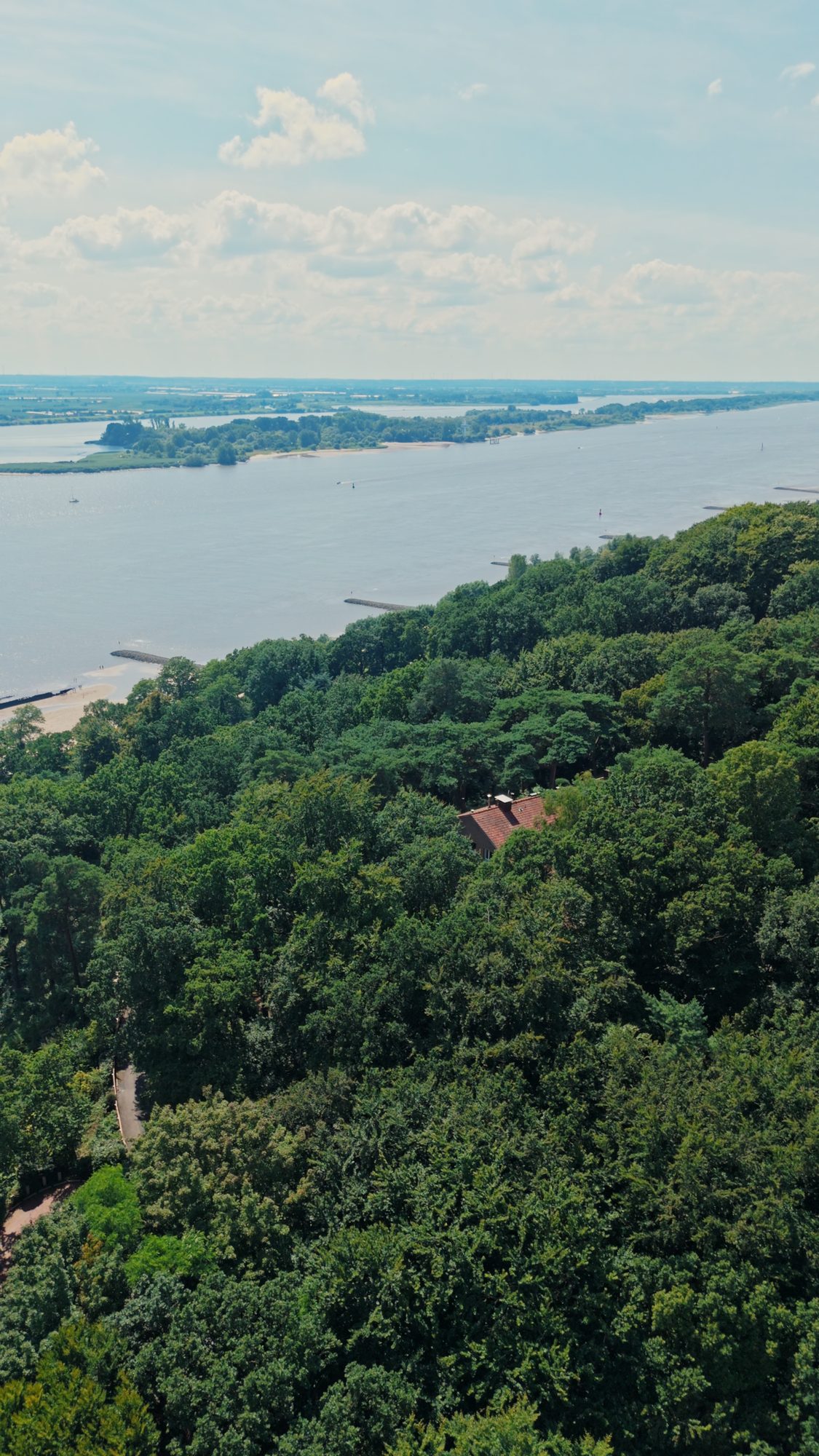 Bewaldeter Elbhang mit Blick auf die Elbe