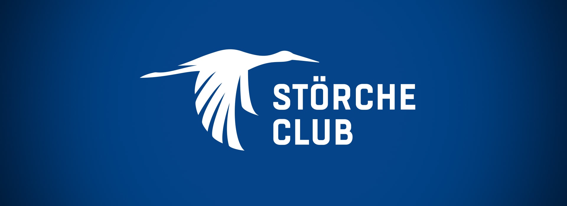 Holstein Kiel
