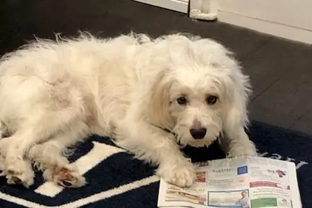 Vallentin Schild (Vally)