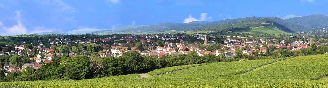 Panoramablick auf die Stadt Müllheim, Baden