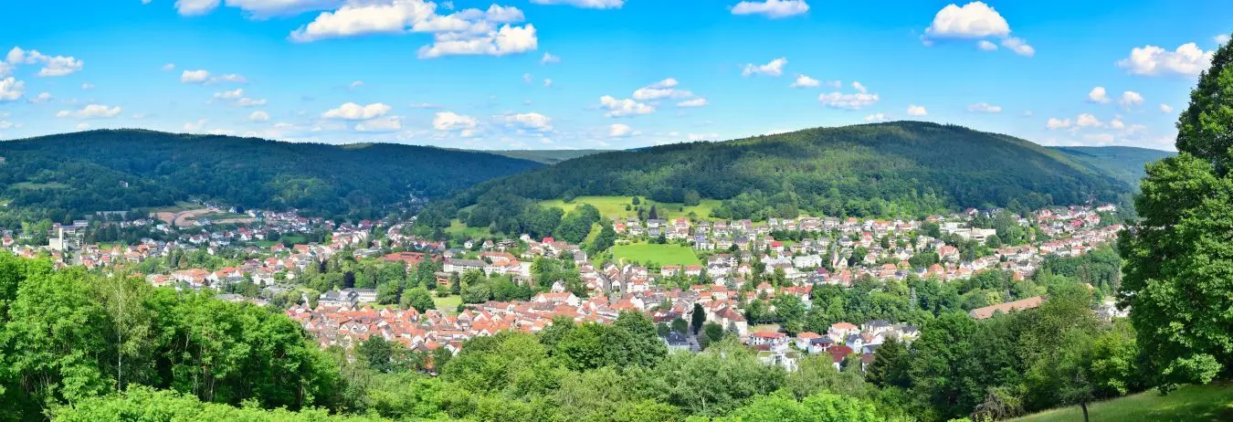 Panoramablick über Bad Orb