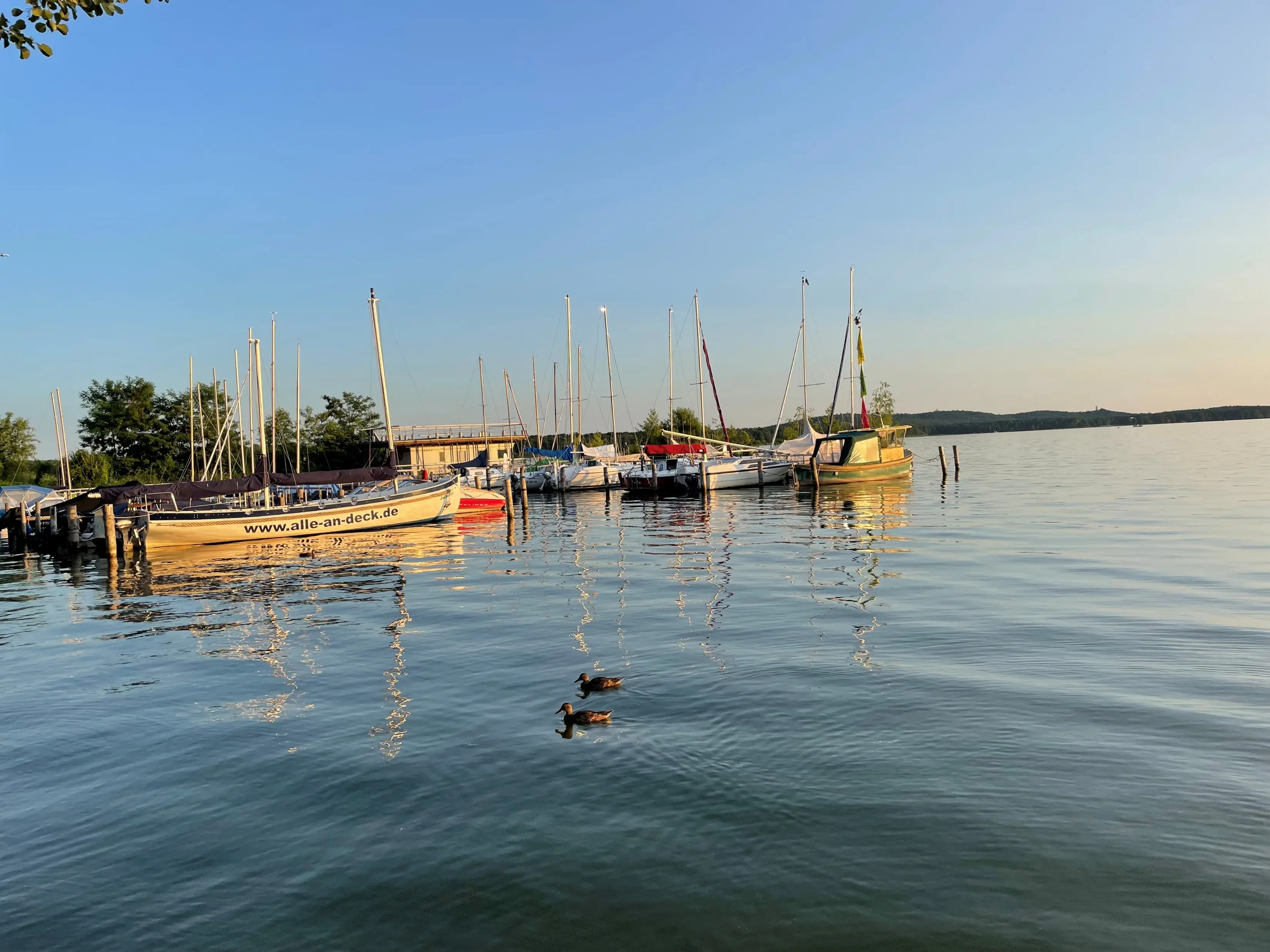 Seegelboote auf dem Müggelsee
