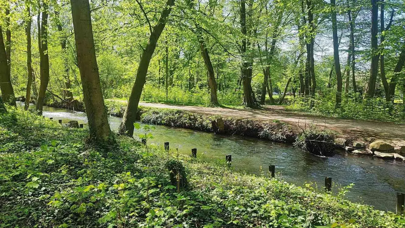 Kleiner Fluss mit Uferweg durch einen sonnendurchfluteten, grünen Laubwald – naturnahe Wohnumgebung in Lingen und im Emsland
