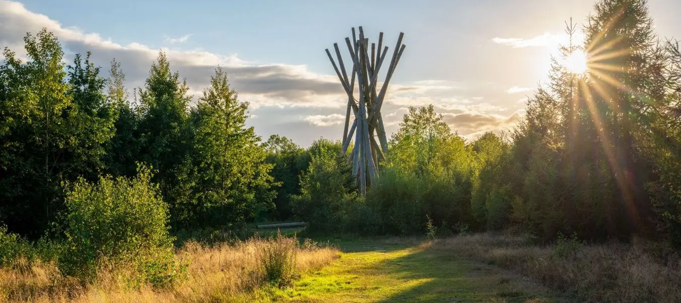 Denkmal für den Hurrikan Kyrill nahe Brilon vor dem Abendhimmel, Sauerland, Deutschland