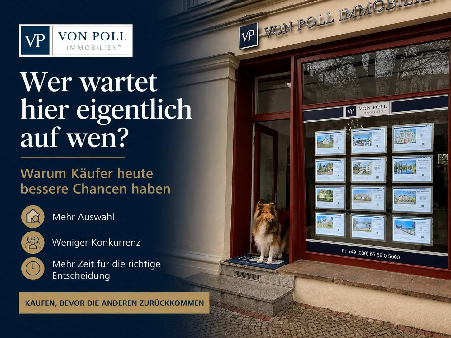 Collie vor dem Schaufenster von VON POLL IMMOBILIEN Treptow-Köpenick. Das Bild steht für die aktuellen Chancen von Kaufinteressenten am Immobilienmarkt in Berlin und dem Bezirk Treptow-Köpenick.