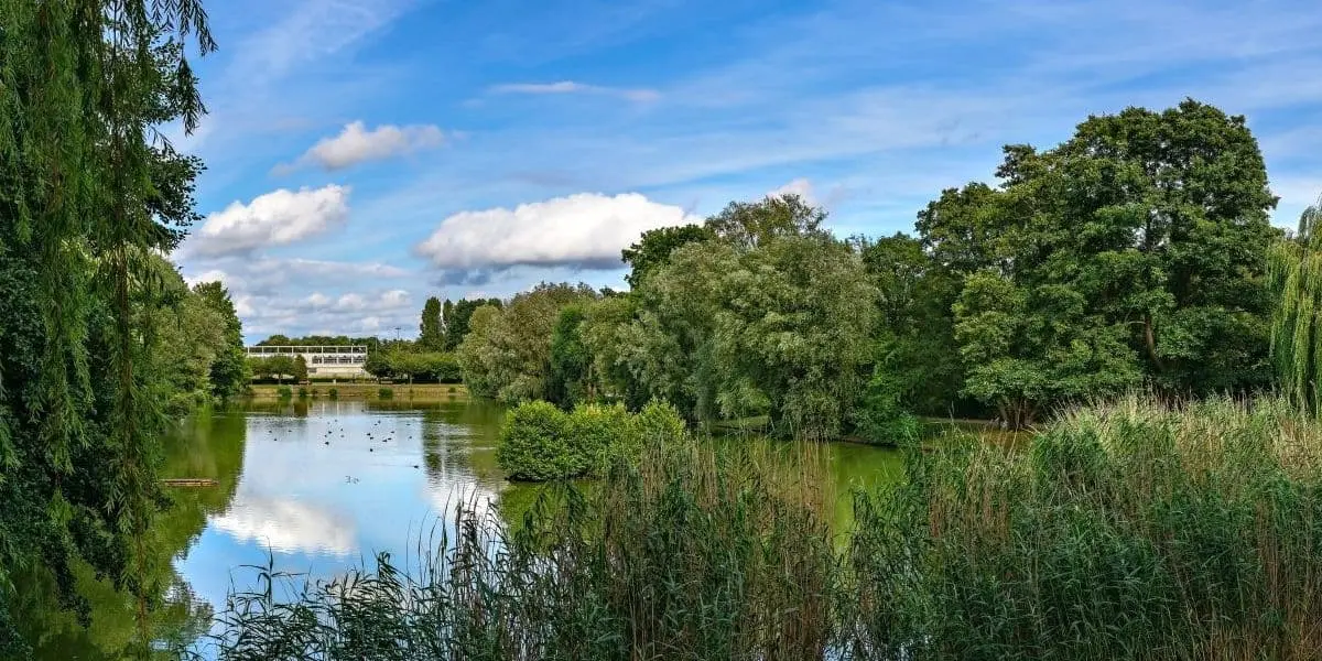 Historisches Gartendenkmal: Der Blümelteich im Berliner Volkspark Mariendorf