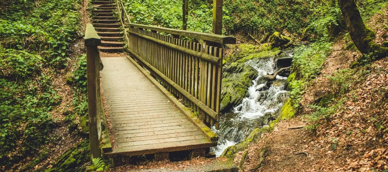 Wanderweg im deutschen Wald. Malerischer Fußweg mit Holzbrücke im Rothaargebirge in Nordrhein-Westfalen.
