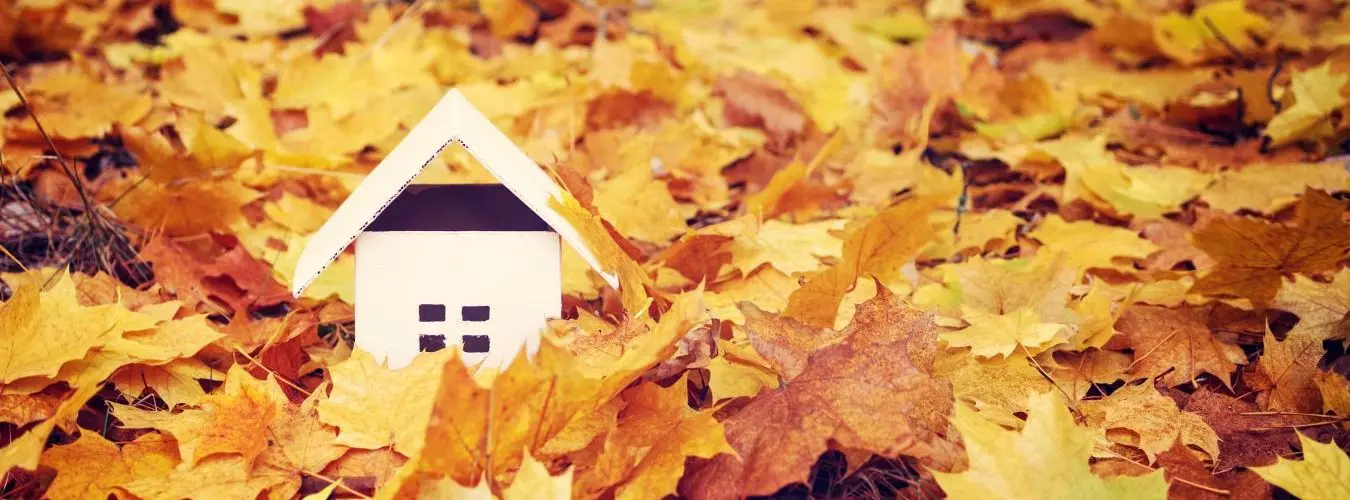 Miniature hare in foliage