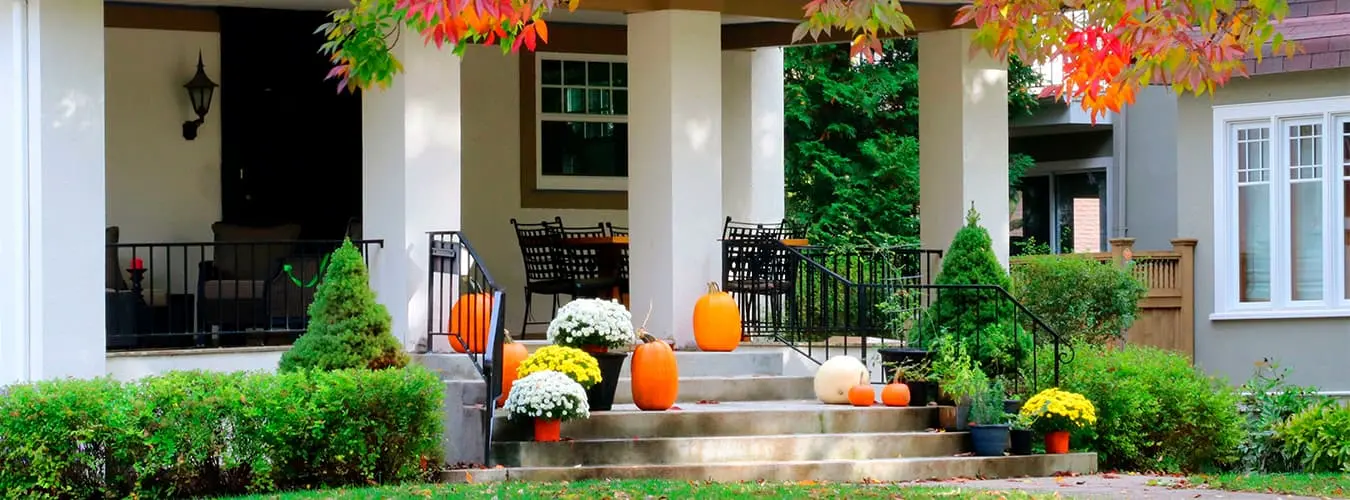 VON POLL IMMOBILIEN - Lifestyle Blog Header Image - Garden in autumn