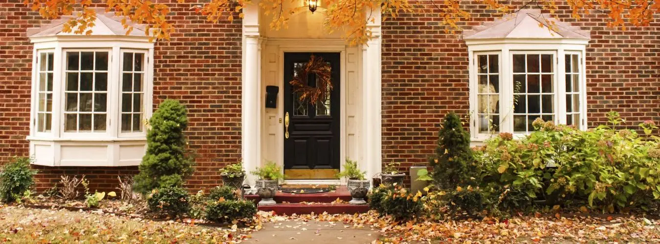 Leaves on a sidewalk in autumn
