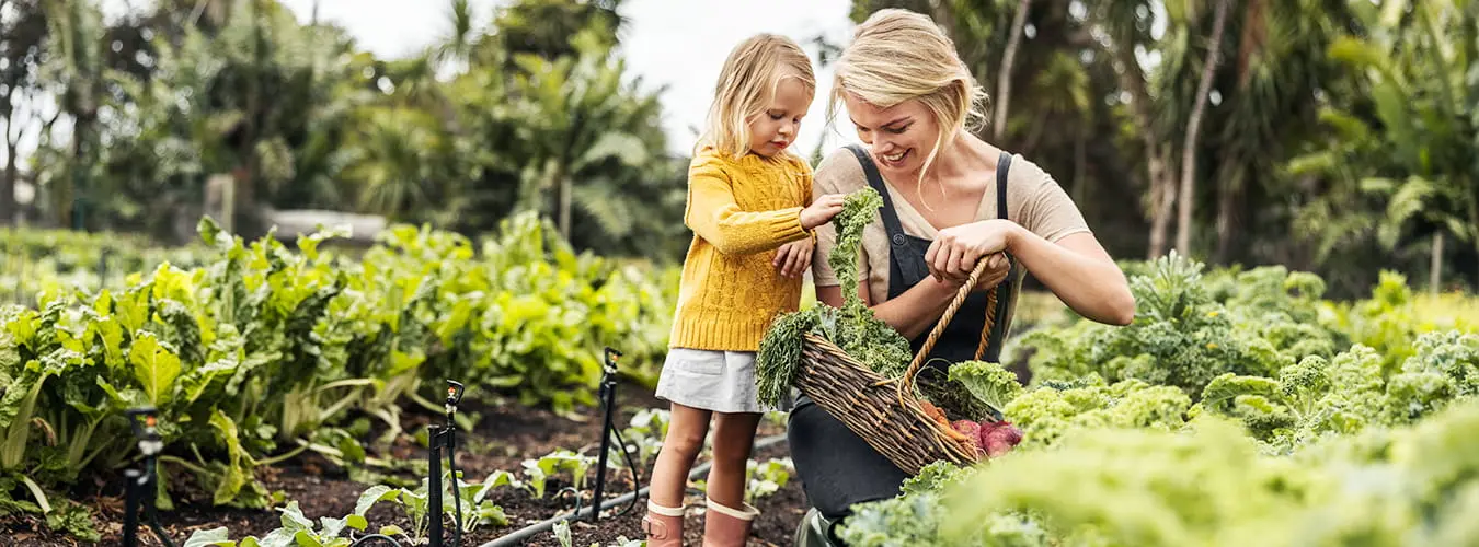 VON POLL IMMOBILIEN - Expert blog - sustainable garden