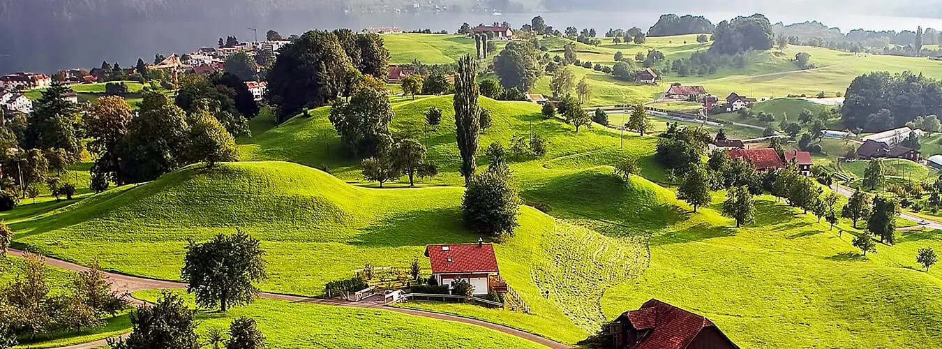 Houses surrounded by green nature