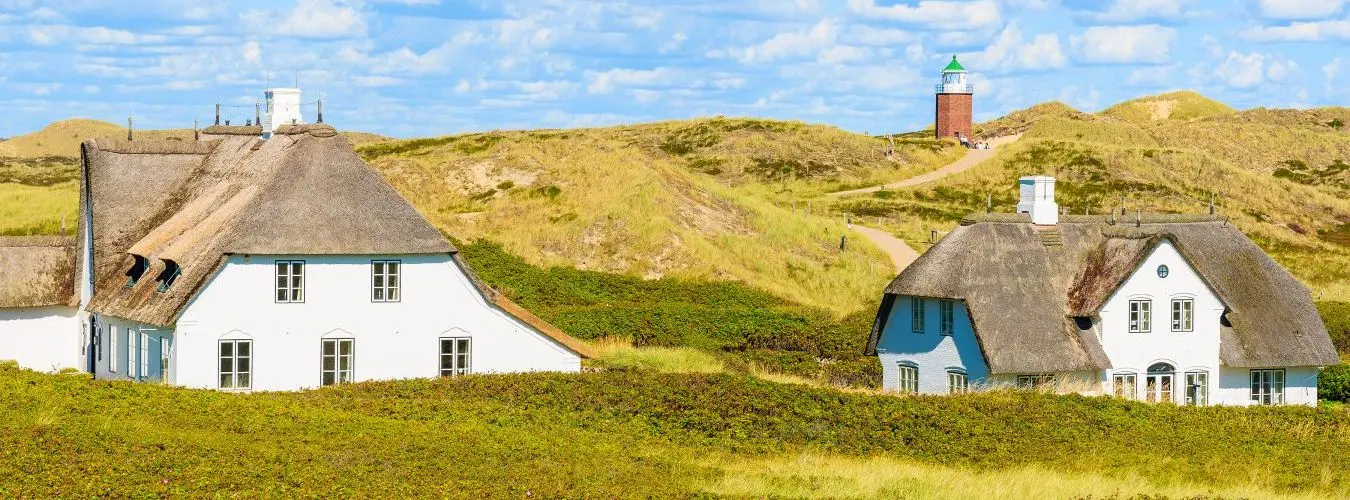 Two typical Nordic houses in front of a hilly green landscape