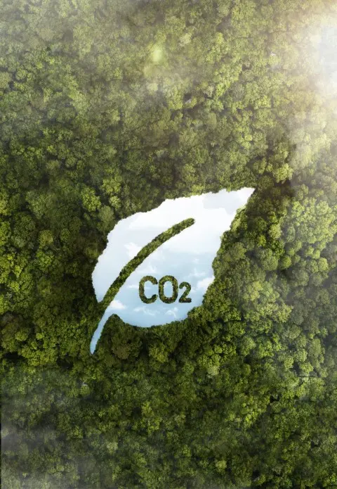 Ένα φύλλο με τη λέξη CO2 γραμμένη πάνω του.