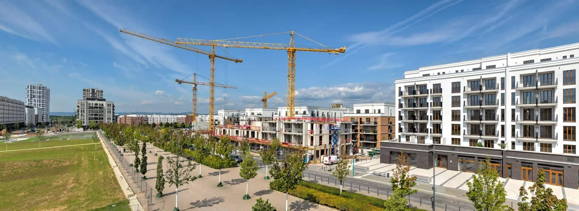Cranes in the middle of a new development