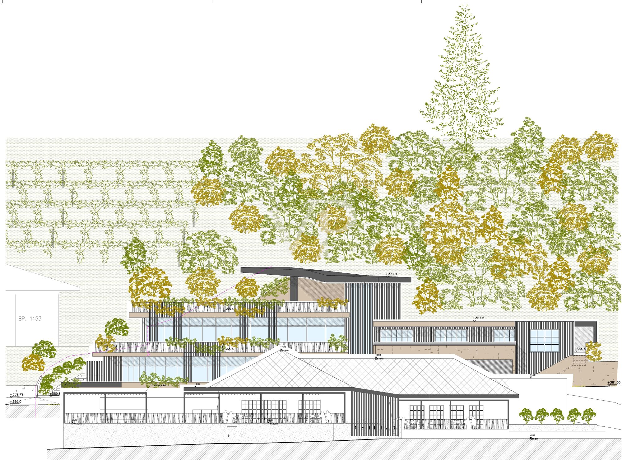 Progetto di Ampliamento