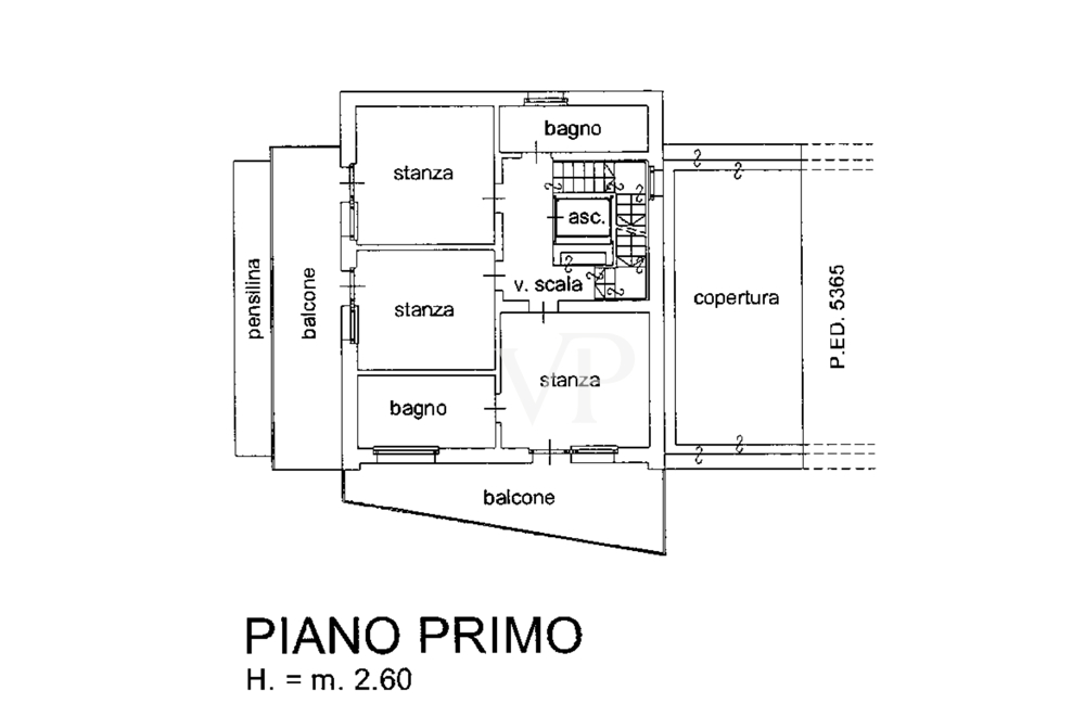 Primo piano Primo piano