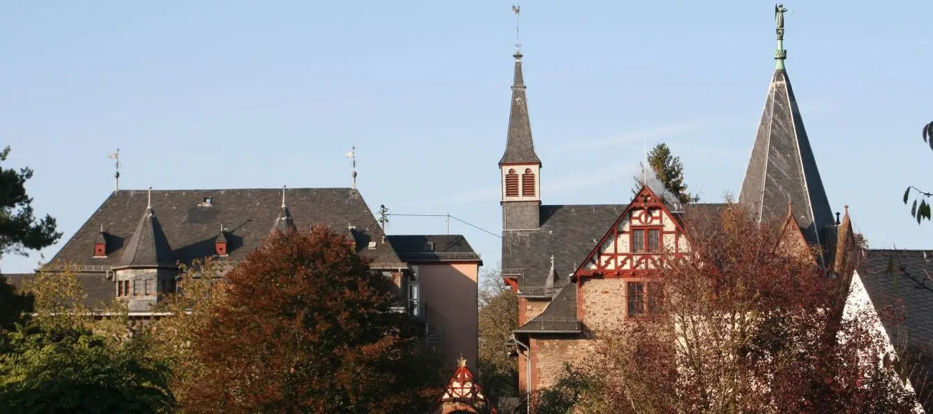 Puricelli Stift in Rheinböllen