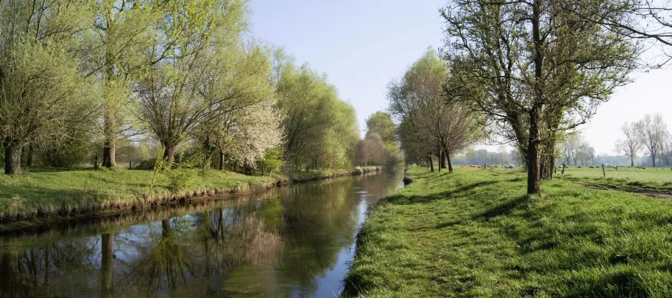 Die Niers bei Grefrath Oedt am Niederrhein im Frühling
